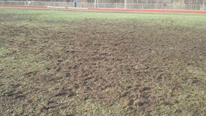 RHAM field 2
